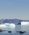 Forskning om råstofudvinding i Grønland